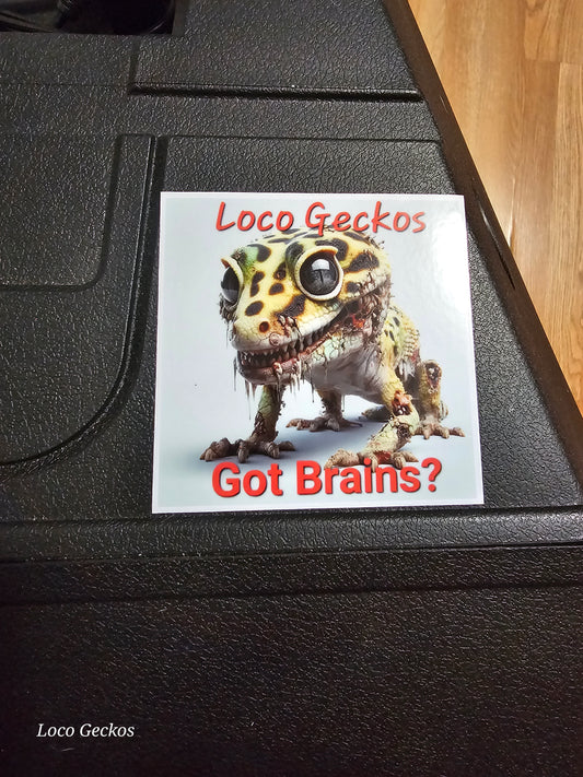 Got Brains Sticker