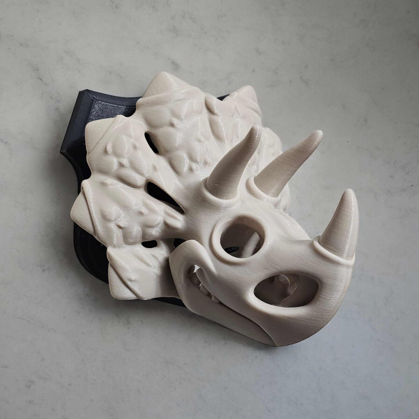 3D Printed Triceratops Skull Mount