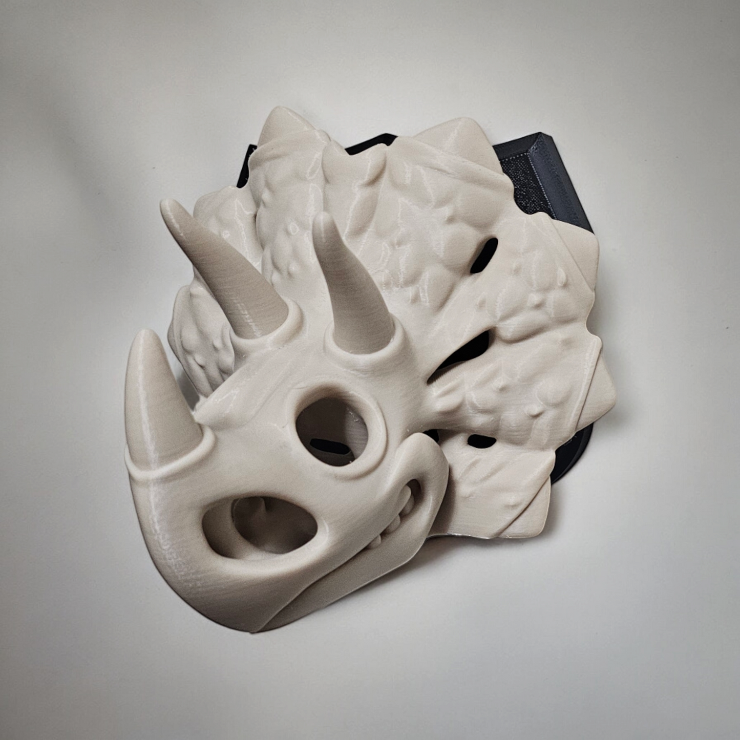 3D Printed Triceratops Skull Mount