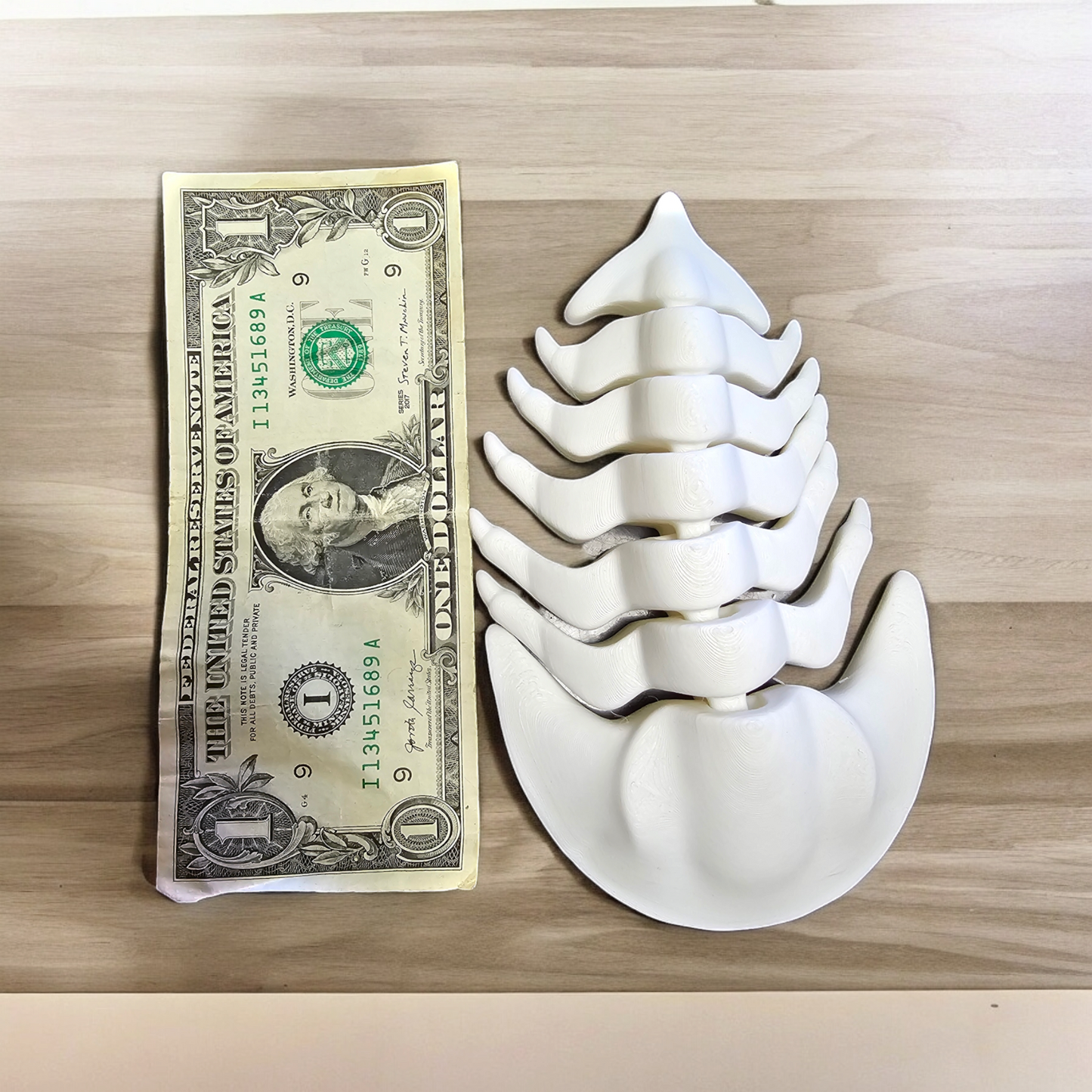 3D Printed Trilobite