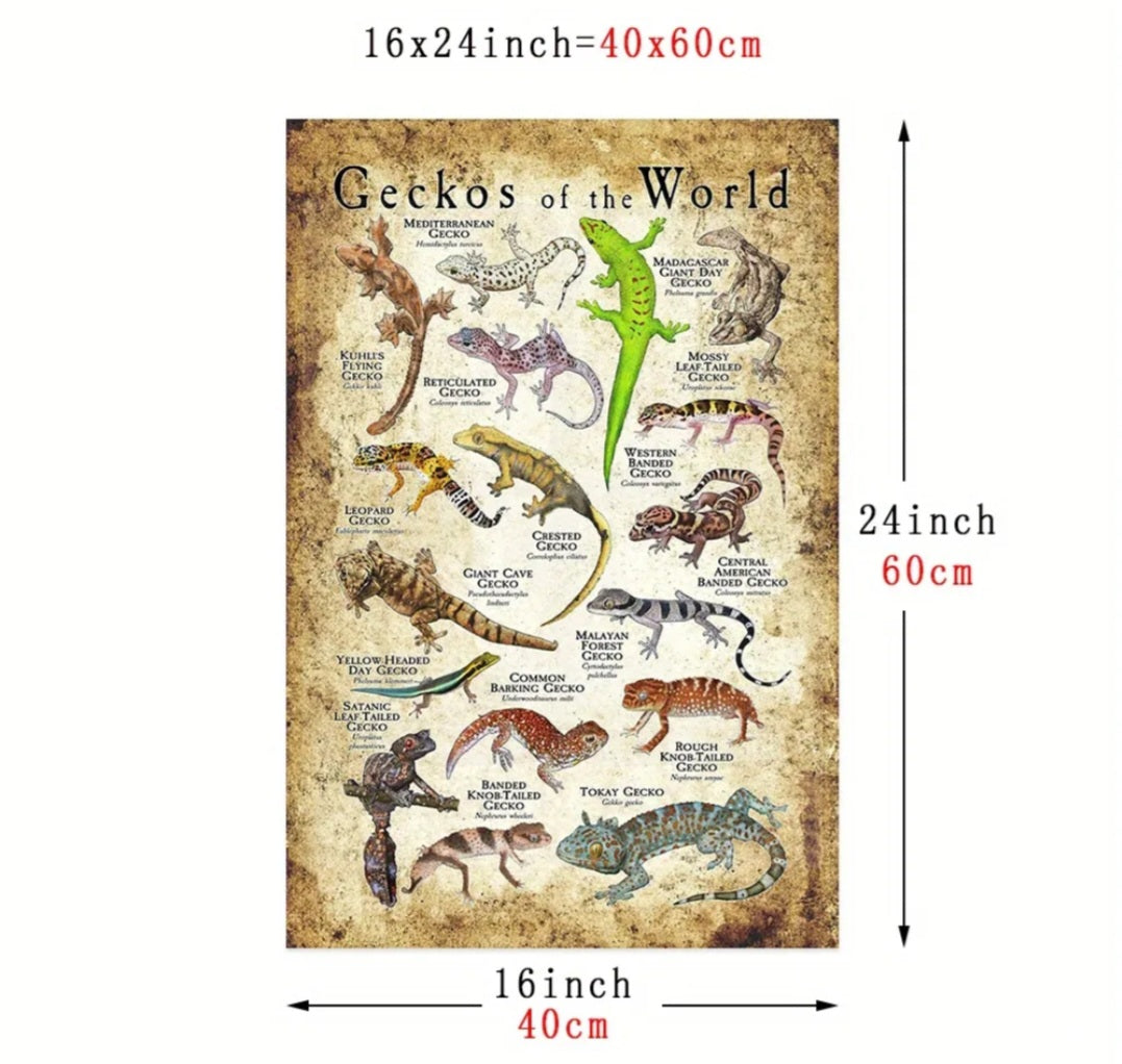 Geckos Of The World Canvas (no frame)